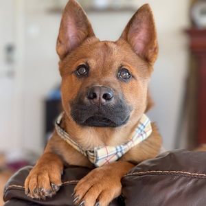 Meet your Posher, Vanessa